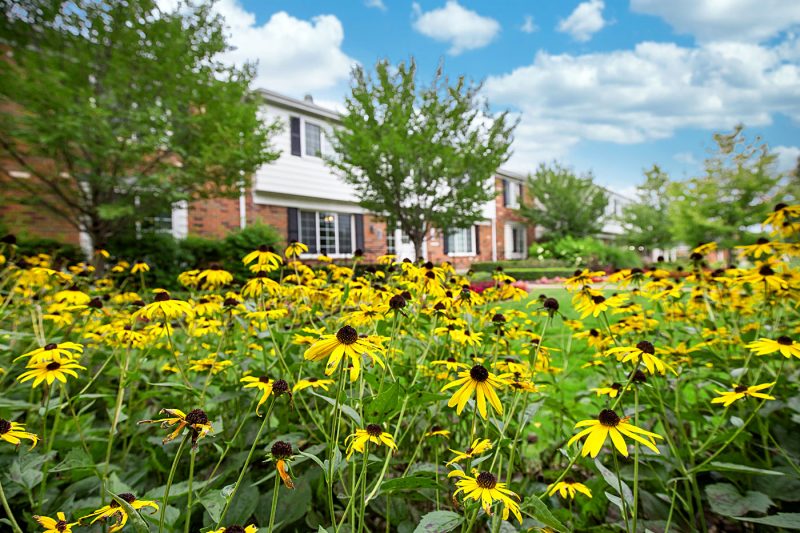 Featured image for “850 Ironwood, #328”