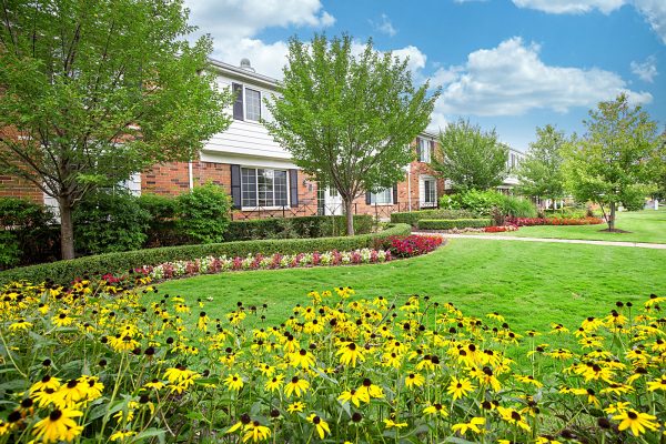 Featured image for “850 Ironwood, #328”