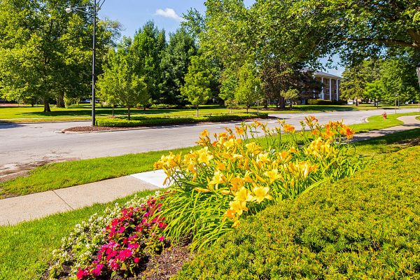 Featured image for “3715 Green Brier Blvd., #200C”