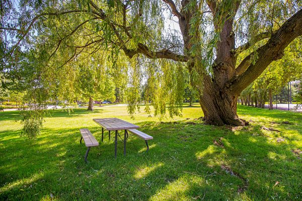 Featured image for “3715 Green Brier Blvd., #200C”