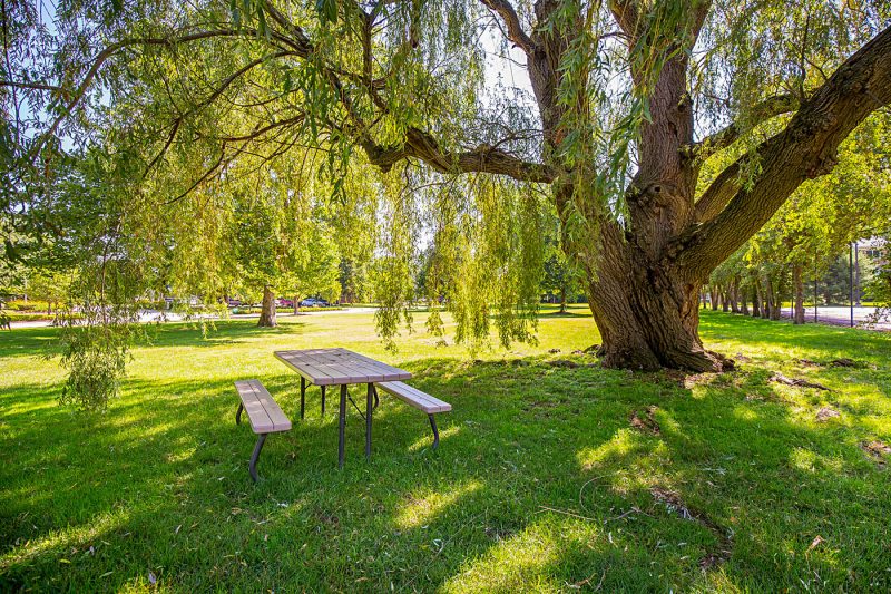 Featured image for “3715 Green Brier Blvd., #200C”