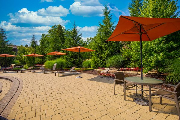 Featured image for “415 Timberlea Drive, #219”