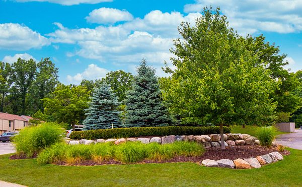 Featured image for “415 Timberlea Drive, #219”