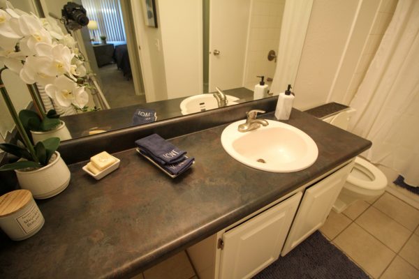 Featured image for “52 N. PLAZA BLVD, #433”