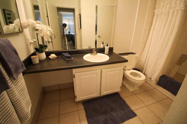 Featured image for “52 N. PLAZA BLVD, #433”