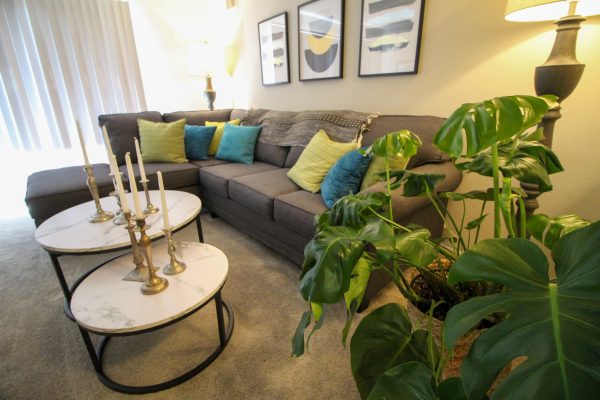 Featured image for “52 N. PLAZA BLVD, #433”